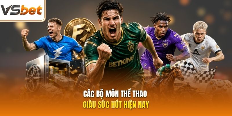 Các bộ môn thể thao giàu sức hút hiện nay